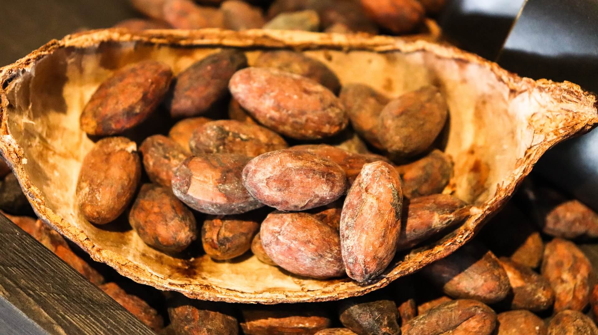 CACAO