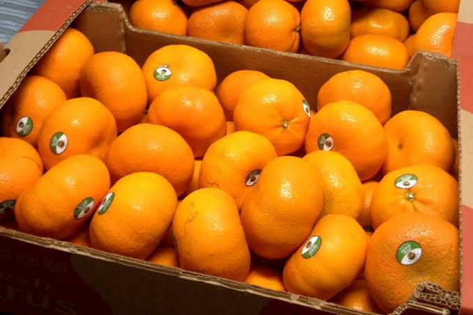 MANDARINA